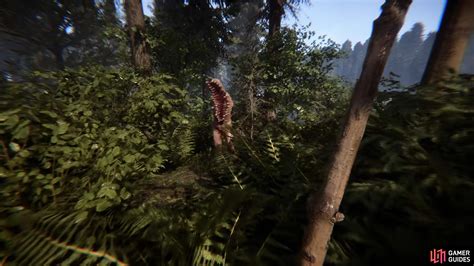 The Forest: Survive Terrifying Mutants and Uncover Ancient Mysteries!